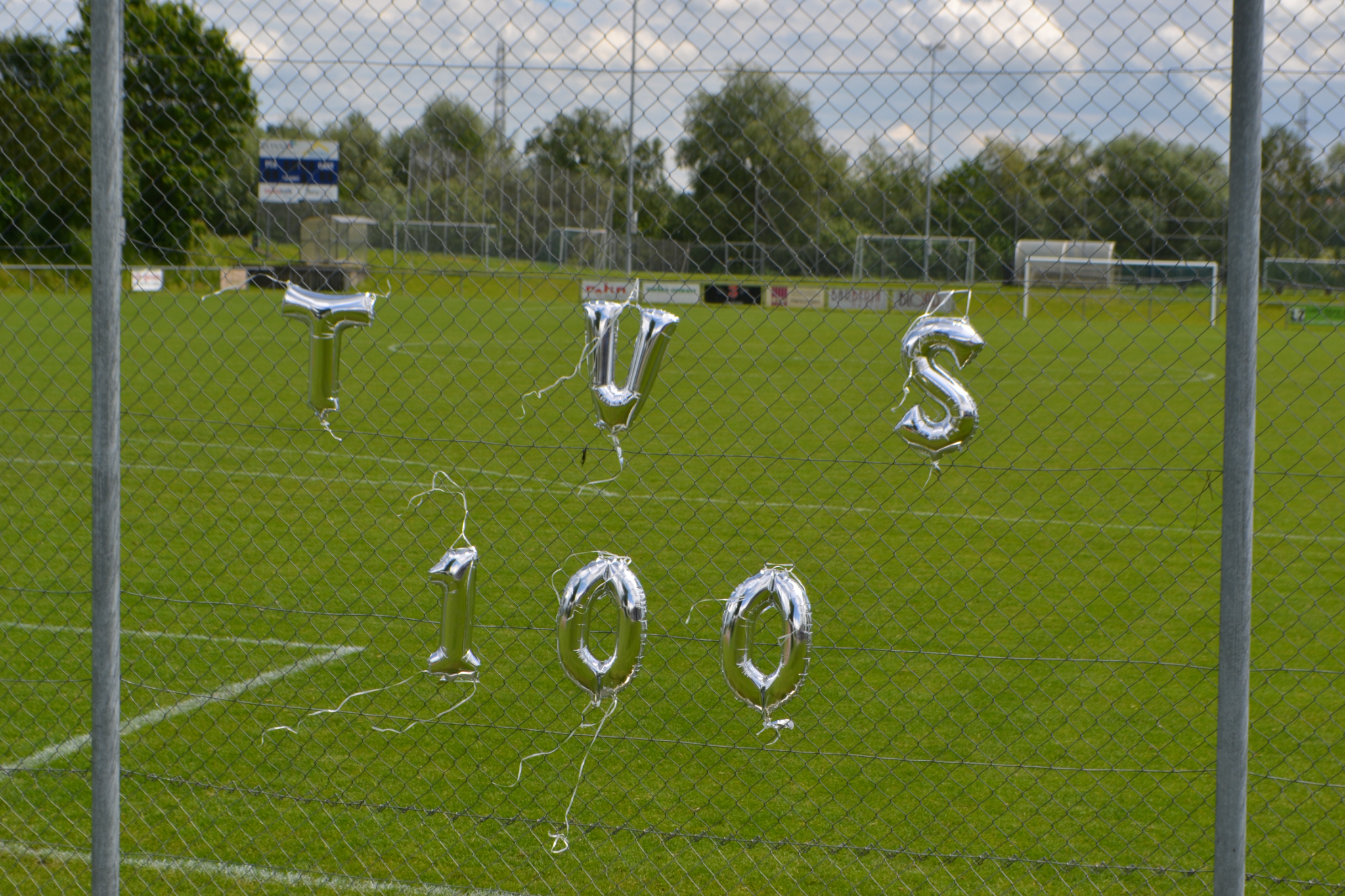 Bild (5)